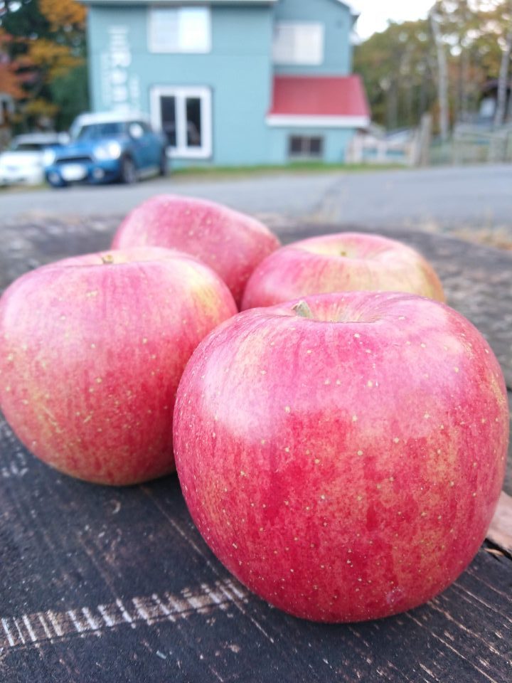 長野　信州　りんご　リンゴ