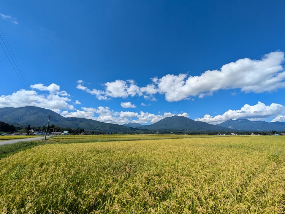 小林一茶のふるさとと稲穂の風景