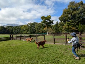 北軽井沢スイートグラス