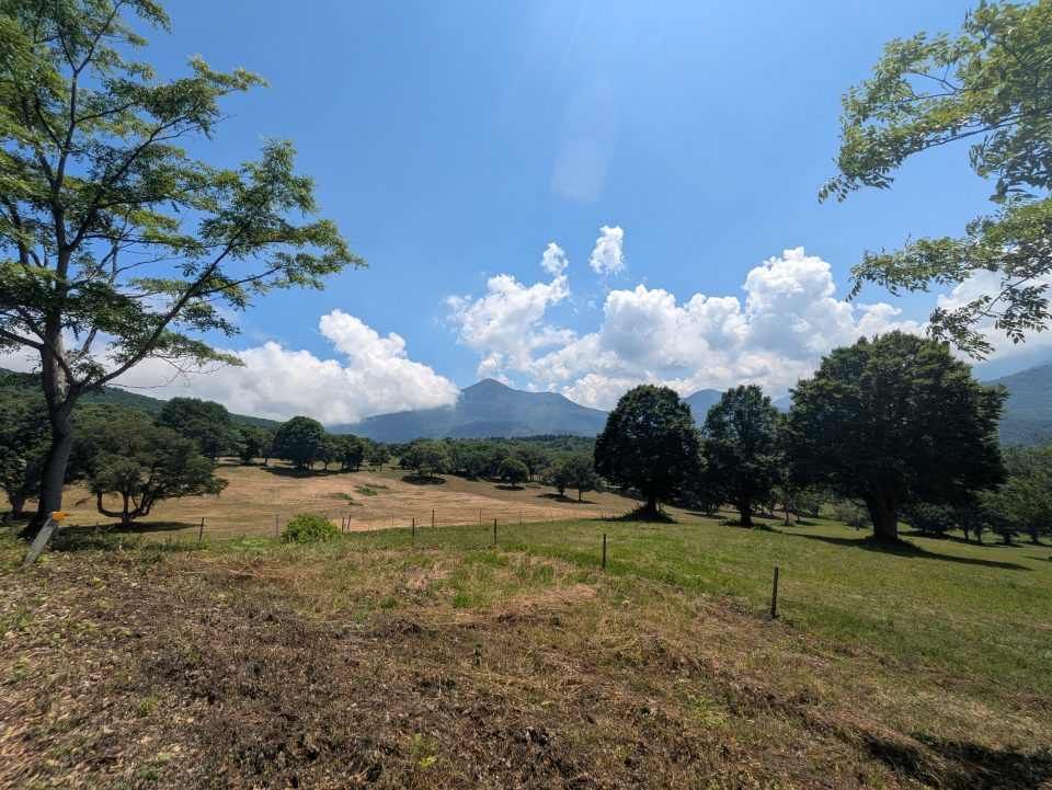 笹ヶ峰高原