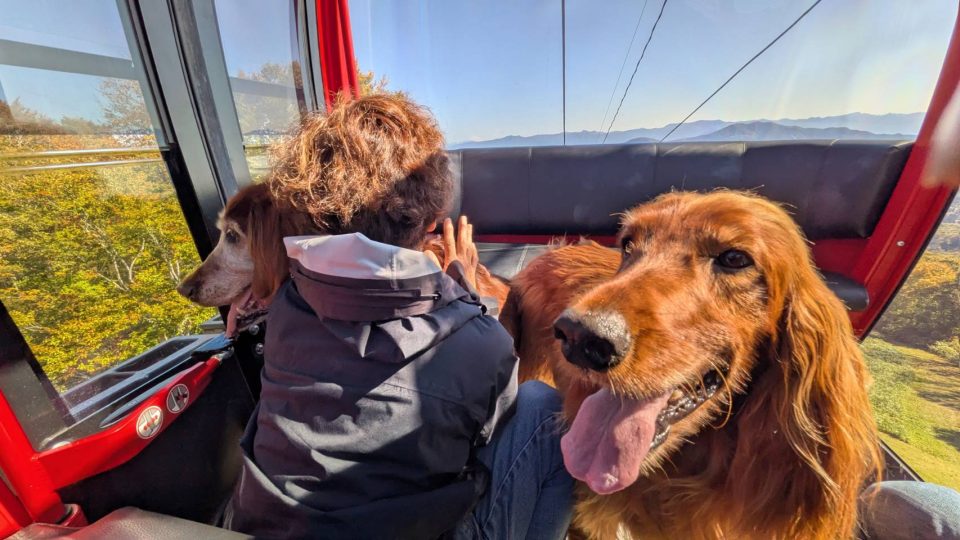 赤倉観光リゾート　妙高高原スカイケーブル