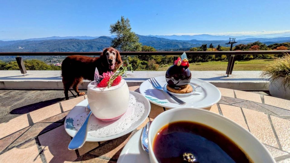 赤倉観光ホテル　ケーキ