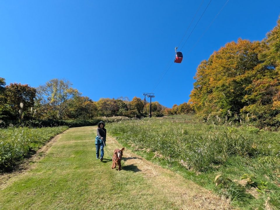 妙高高原スカイケーブル　展望コース