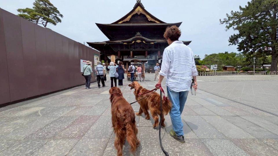善光寺　御開帳
