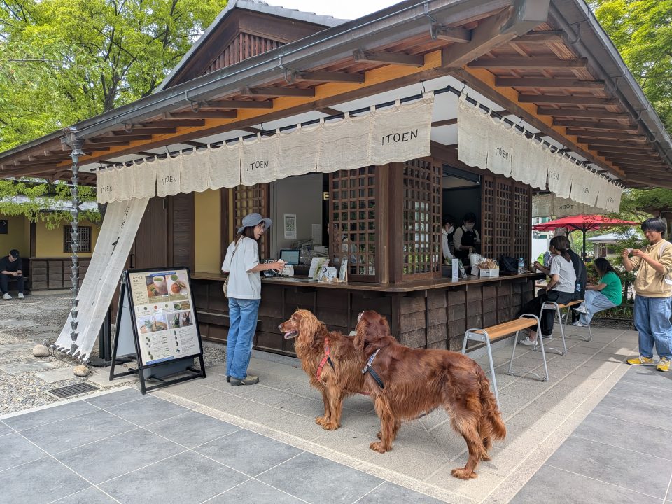 善光寺　伊藤園